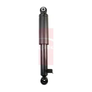 ASA1166 APEC
