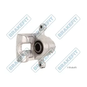 BCA1165 APEC