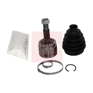 ACV1293 APEC