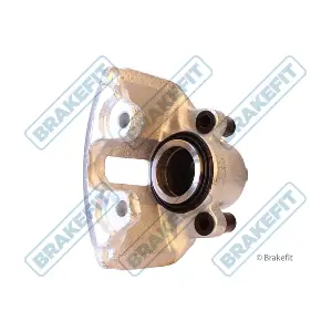 BCA1310 APEC