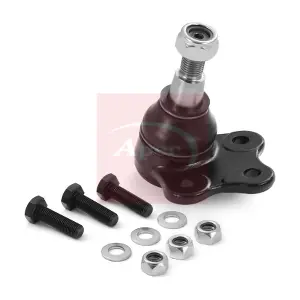 AST0175 APEC