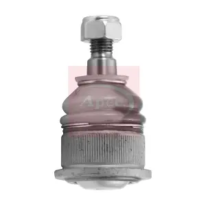 AST0194 APEC