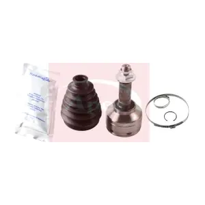 ACV1160 APEC