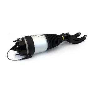 ASE-4373 Arnott