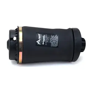 A-2597 Arnott