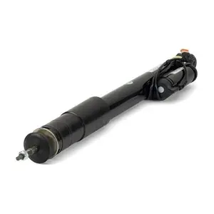SK3197 Arnott