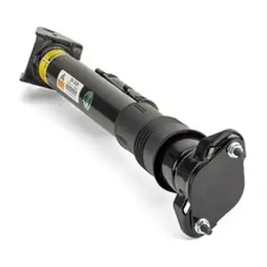 SK3029 Arnott
