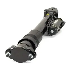 SK3217 Arnott