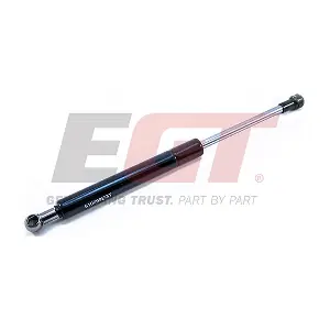 510099EGT EGT