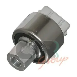 1205081 CTR