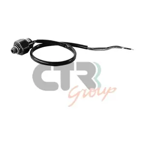 1205161 CTR