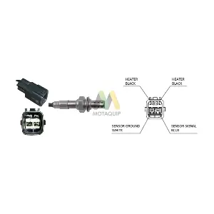 LVOS2031 MOTAQUIP