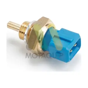 LVCT381 MOTAQUIP