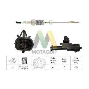 LVET365 MOTAQUIP