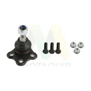 MOTAQUIP LVSJ1239