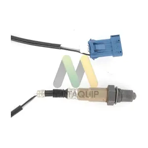 MOTAQUIP LVOS1342