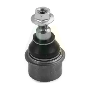 LVSJ1238 MOTAQUIP