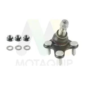 LVSJ1302 MOTAQUIP