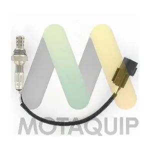 LVOS1999 MOTAQUIP