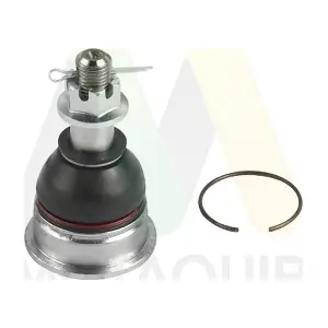 LVSJ1251 MOTAQUIP