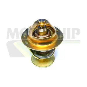VTS239 MOTAQUIP