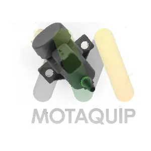MOTAQUIP LVEV181