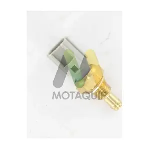 LVCT118 MOTAQUIP