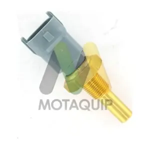 LVCT361 MOTAQUIP