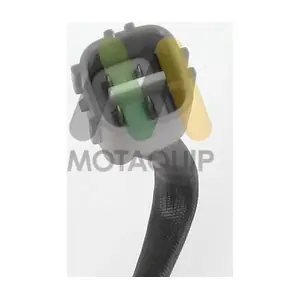LVOS1668 MOTAQUIP