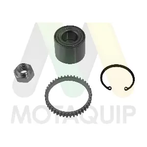 LVBW1617 MOTAQUIP