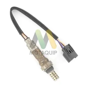 LVOS1377 MOTAQUIP