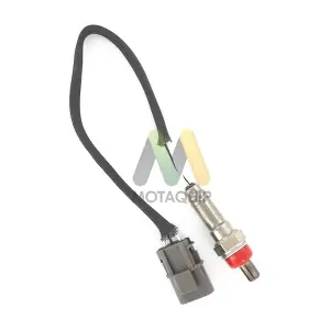 LVOS1270 MOTAQUIP