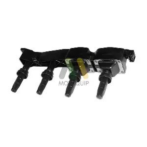 LVCL1172 MOTAQUIP