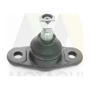 MOTAQUIP LVSJ1194