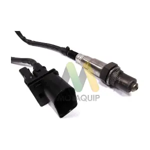 LVOS1281 MOTAQUIP