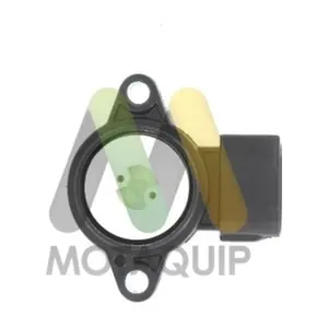 LVTP109 MOTAQUIP