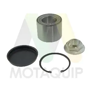 MOTAQUIP LVBW1675