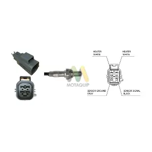 LVOS2033 MOTAQUIP