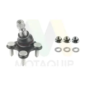 LVSJ1301 MOTAQUIP