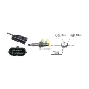MOTAQUIP LVOS2024