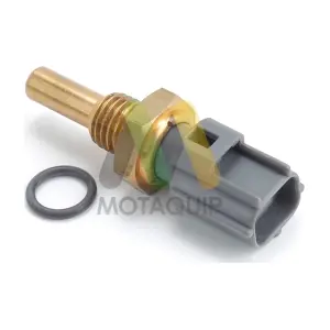 LVCT393 MOTAQUIP