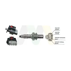 LVOS2064 MOTAQUIP