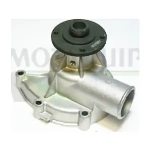 MOTAQUIP VWP287