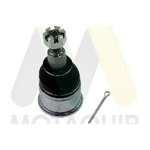 LVSJ1196 MOTAQUIP