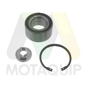 LVBW1669 MOTAQUIP