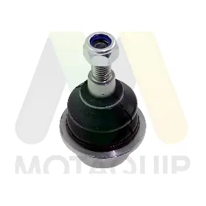 LVSJ1165 MOTAQUIP
