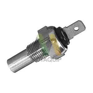 LVCT364 MOTAQUIP