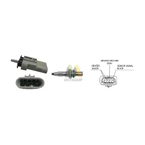 LVOS2028 MOTAQUIP