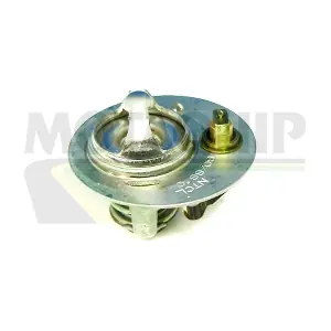 VTS272 MOTAQUIP