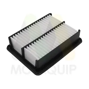 LVFA1754 MOTAQUIP